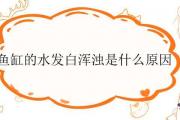 魚缸的水發白渾濁是什麼原因