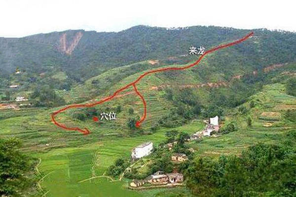 如何判斷入首龍的吉兇