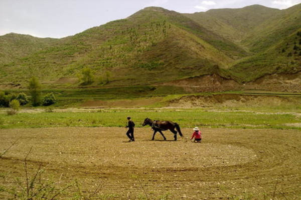 陰宅龍穴砂水分別對后人的影響