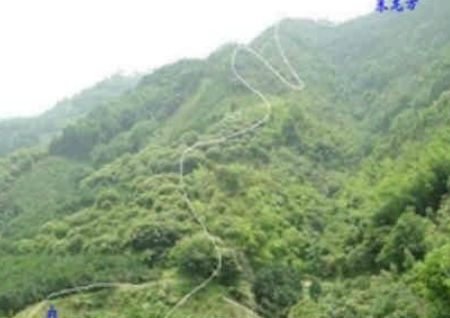 新墳地怎么看出好風水