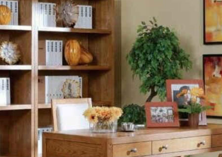 書房擺放風水正確圖