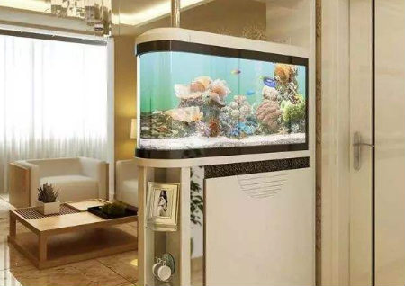 進門見魚缸風水好嗎