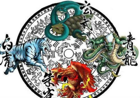 青龍怕臭怎么破解