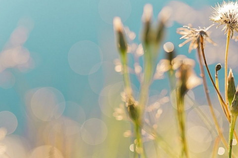 招財室內風水布局 家里招財風水布局你知道哪些