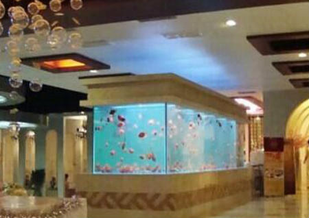 養魚風水注意事項