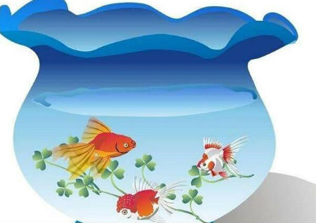 說說魚缸風水知識