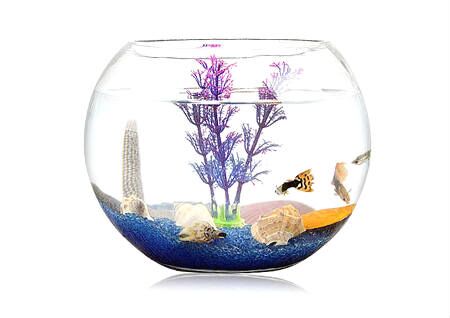 店鋪風水吉祥擺件
