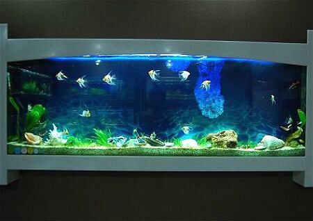 家中魚缸形狀風水