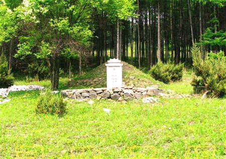 墳地周圍栽什么樹風水好