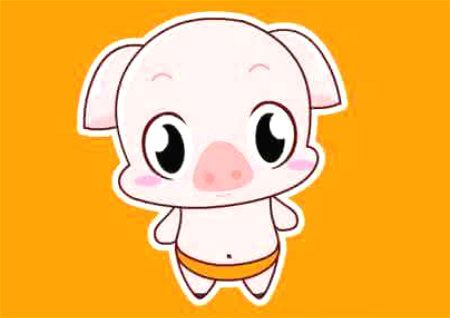 2019本命年風水