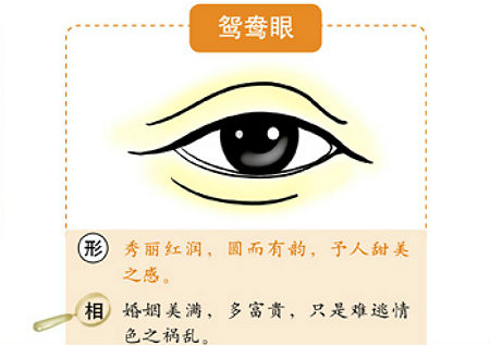 眼睛的風水學