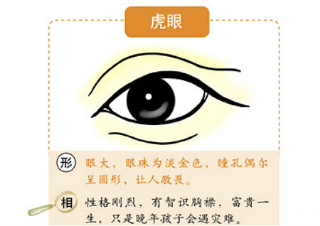 眼睛的風水學