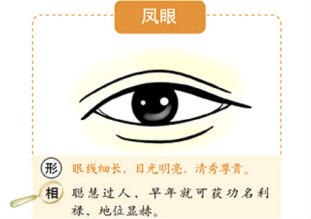 眼睛的風水學