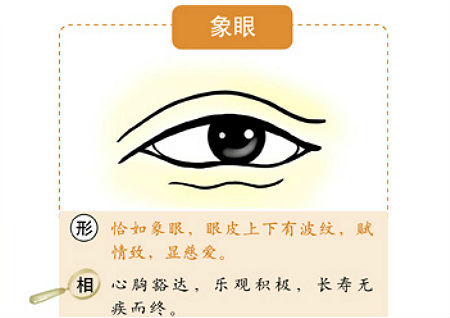 眼睛的風水學