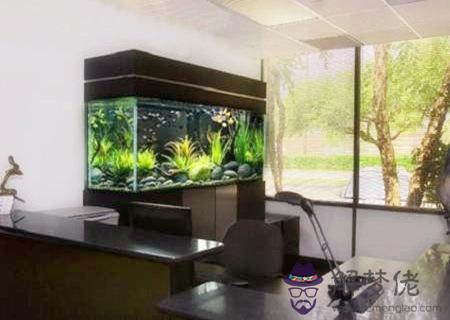 可以鎮宅辟邪的風水擺件