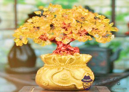 招財樹擺放風水宜忌