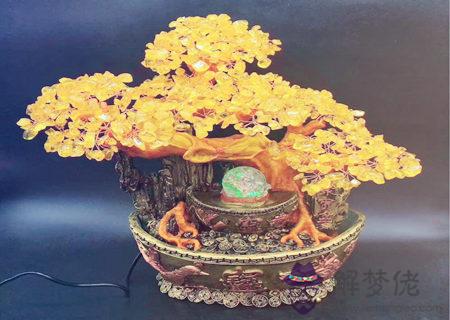 招財樹擺放風水宜忌