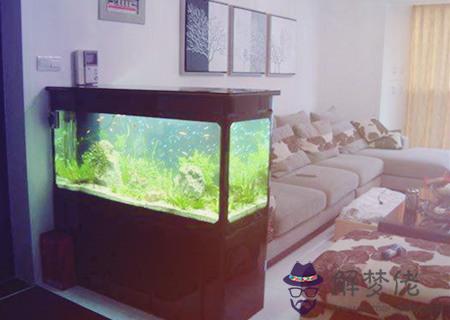 家中魚缸有哪些擺放禁忌