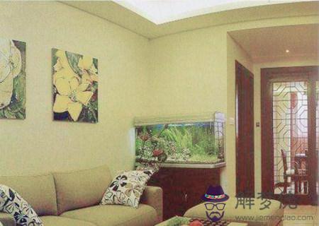 家中魚缸有哪些擺放禁忌