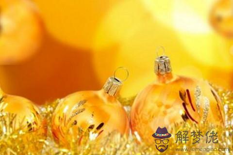 招財魚怎么養可招財 招財魚風水