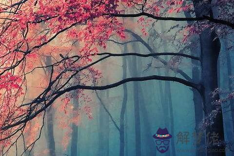 風水如何增進人緣 提升好人緣風水如何做