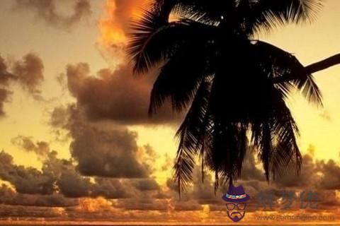 家里擺放什么植物招財又旺宅 鎮宅招財旺人的植物