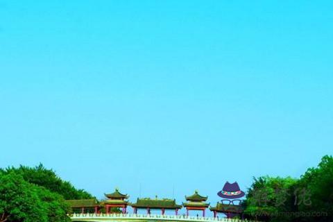 鎮宅辟邪的盆栽有哪些 室內鎮宅辟邪的綠植