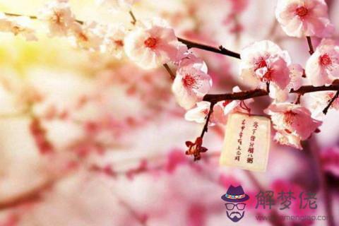 2020年如何催旺桃花運 找對方法催旺桃花運順利脫單