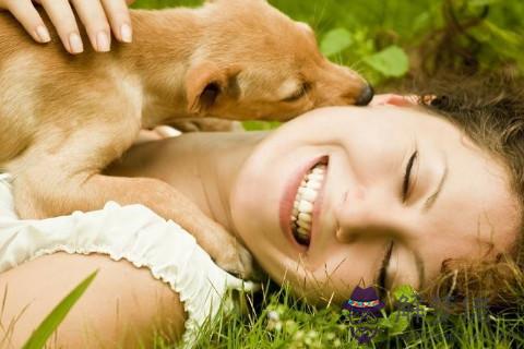 養狗真的可以招財嗎 哪些人不適合養狗