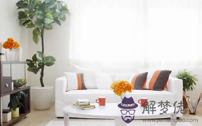 客廳風水布局怎么擺放才好(圖文)