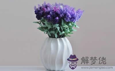 家里放什么東西招桃花最靈驗(圖文)