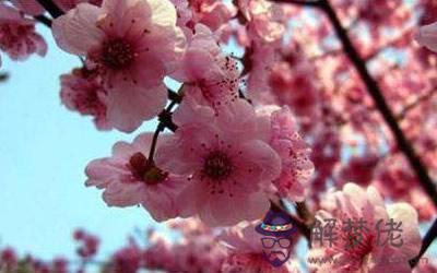 熟記桃花禁忌 讓你脫單失敗的壞風水(圖文)