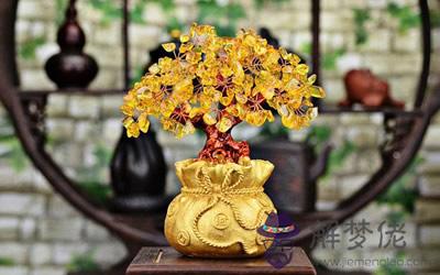 黃水晶樹最適合擺在哪些位置?(圖文)