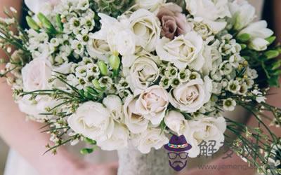 最快最好的催桃花方法 招桃花方法(圖文)