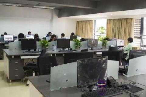 辦公室旺財風水 辦公室擺放什么最招財