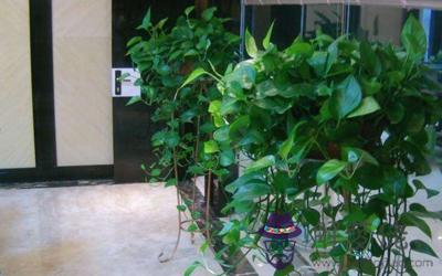 家中陰氣重最好的化解方法(圖文)