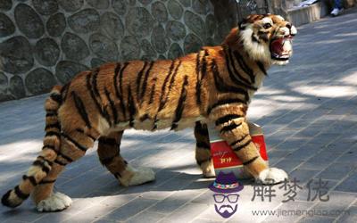 孕婦臥室不能擺放和兇猛野獸有關的東西(圖文)