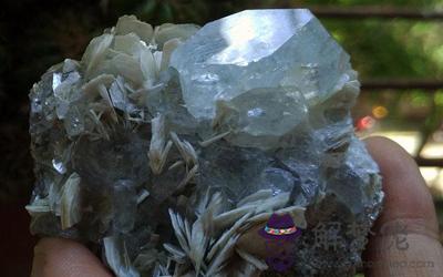 辦公桌上放什么會影響你的愛情運勢?(圖文)