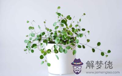 子女緣薄的命格做什么能增強？(圖文)