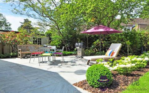 庭院驅邪植物有哪些(圖文)