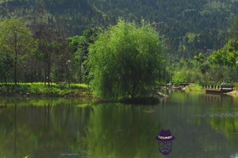 臥室風水忌諱禁忌 風水知識點