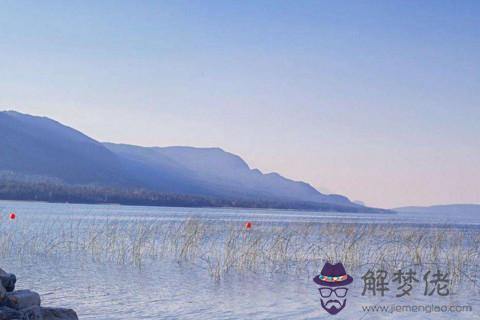 臥室內的風水 床頭可以擺放花嗎