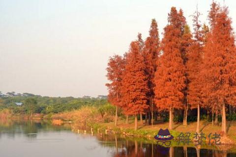 臥室裝修應該注意哪些風水 房間裝修禁忌與風水