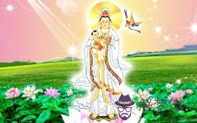 送子觀音的畫像放在哪最好？(圖文)
