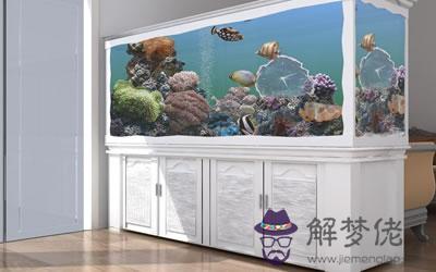 酒店里的水族箱和魚缸到底要怎么擺放？(圖文)