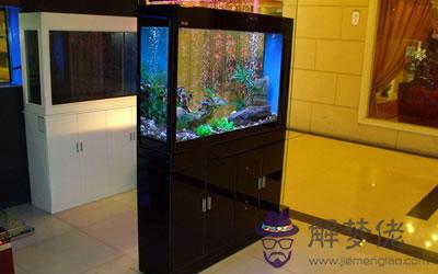 酒店里的水族箱和魚缸到底要怎么擺放？(圖文)