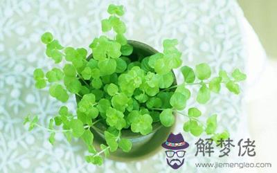 房子發財最快的風水布置你知道嗎!(圖文)