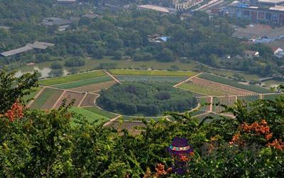 教你如何打造大富大貴的陽宅(圖文)