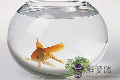 適合秋季擺放的風水擺件(圖文)
