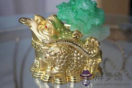 金蟾究竟有哪些神奇的功效(圖文)